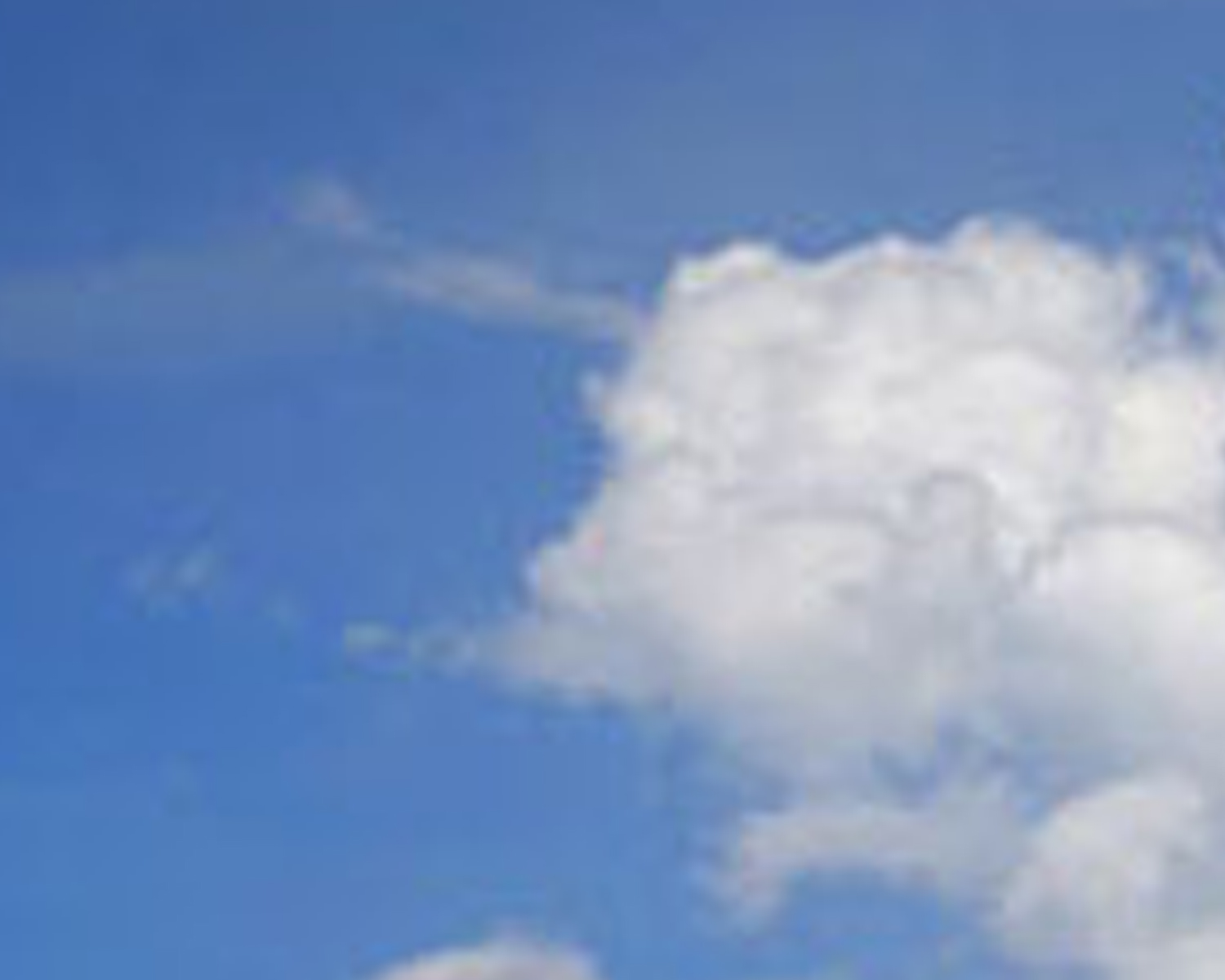 bluesky's profile picture