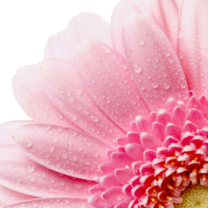 hienthu2203's profile picture