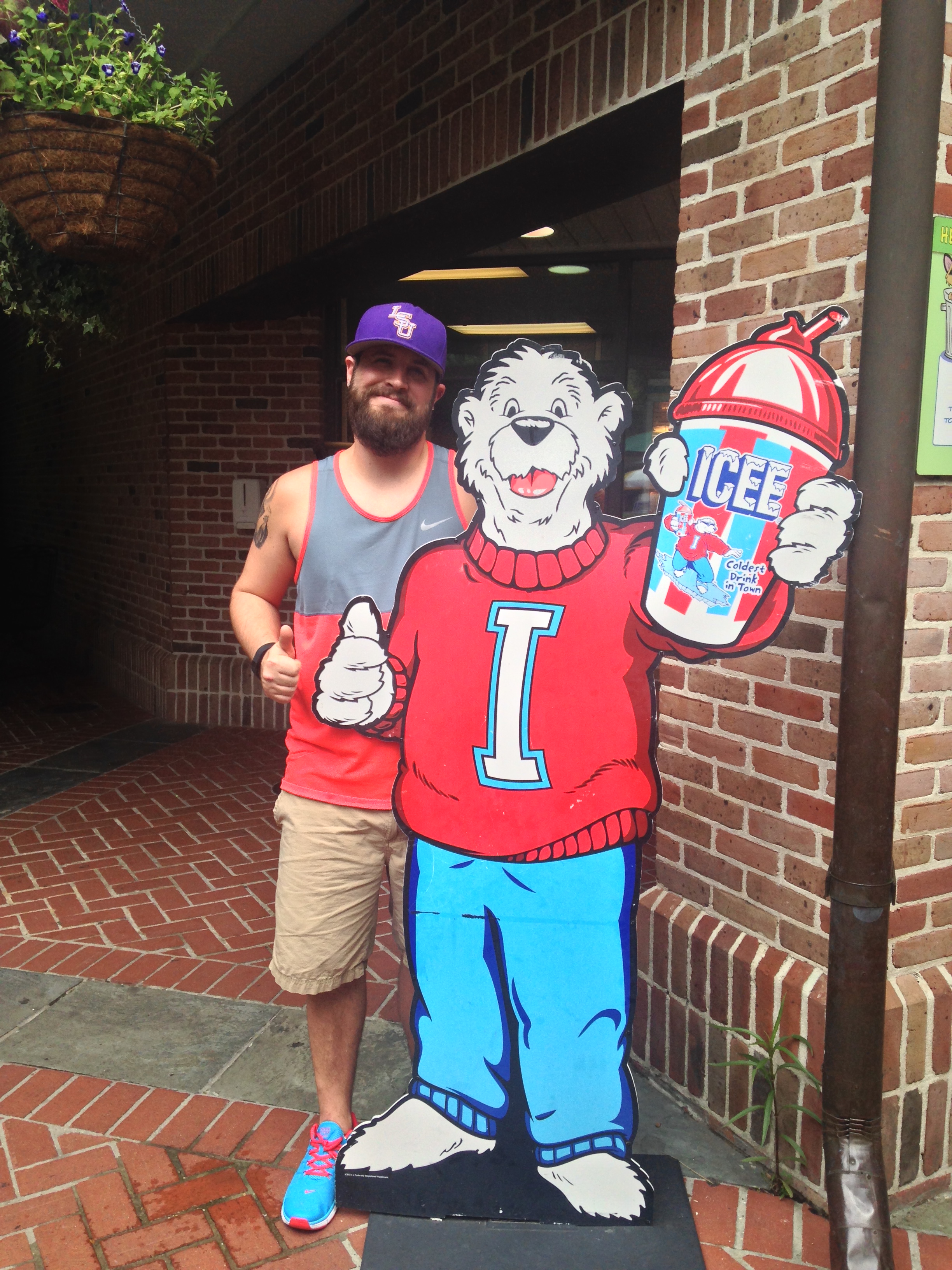 alconpercussion's profile picture