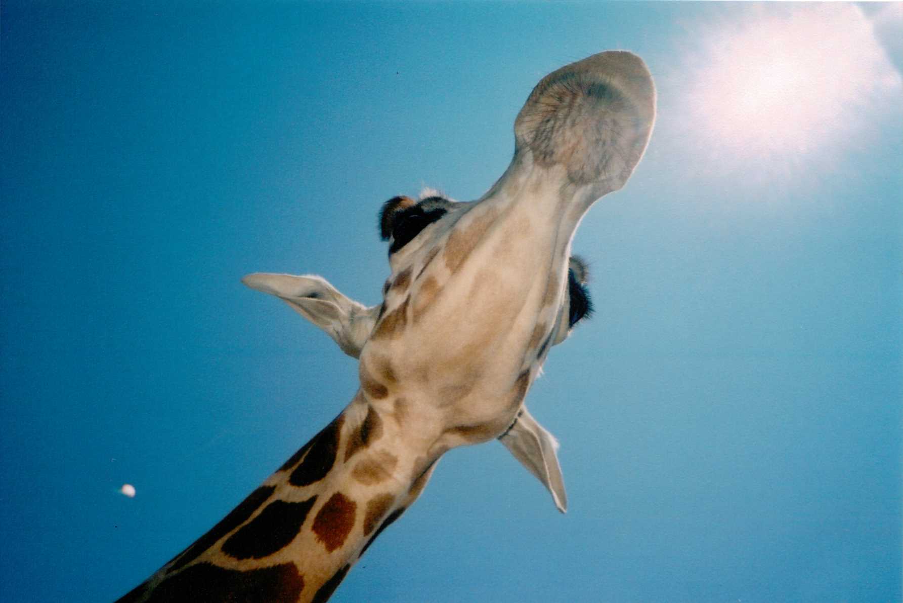 TJMdesigns's profile picture