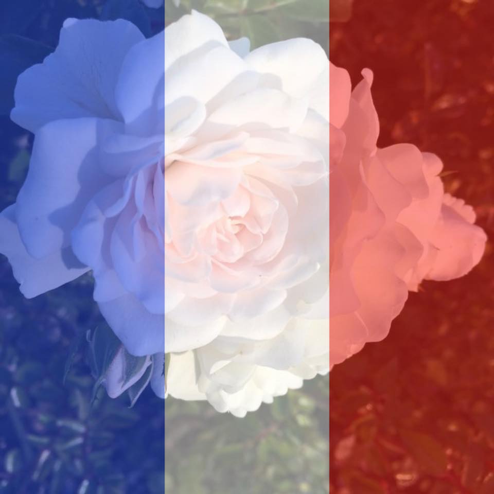 RemiShane's profile picture