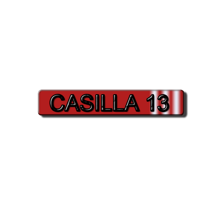 CASILLA 13's profile picture