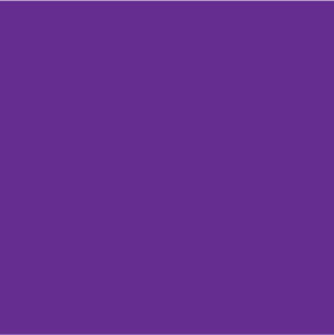 Violet's profile picture