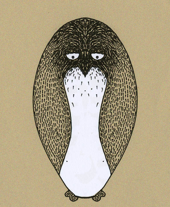 shakoon's profile picture