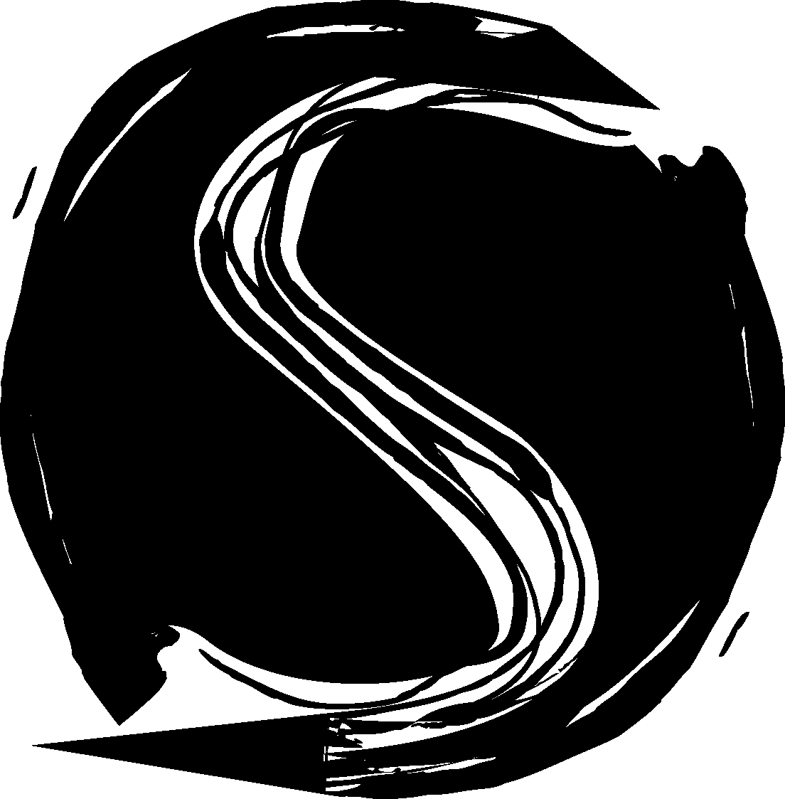 Sakki's profile picture