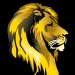 fireify's profile picture