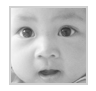 AMD STUDIO's profile picture