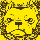 joelsailo's profile picture