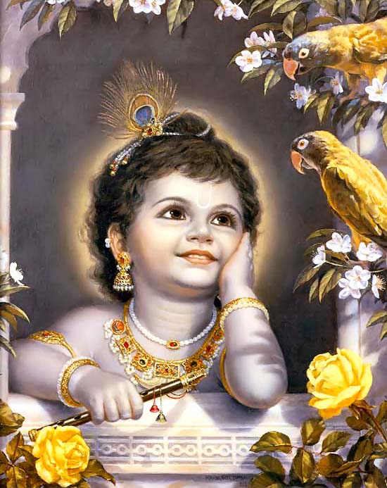 dhimanakshay108's profile picture