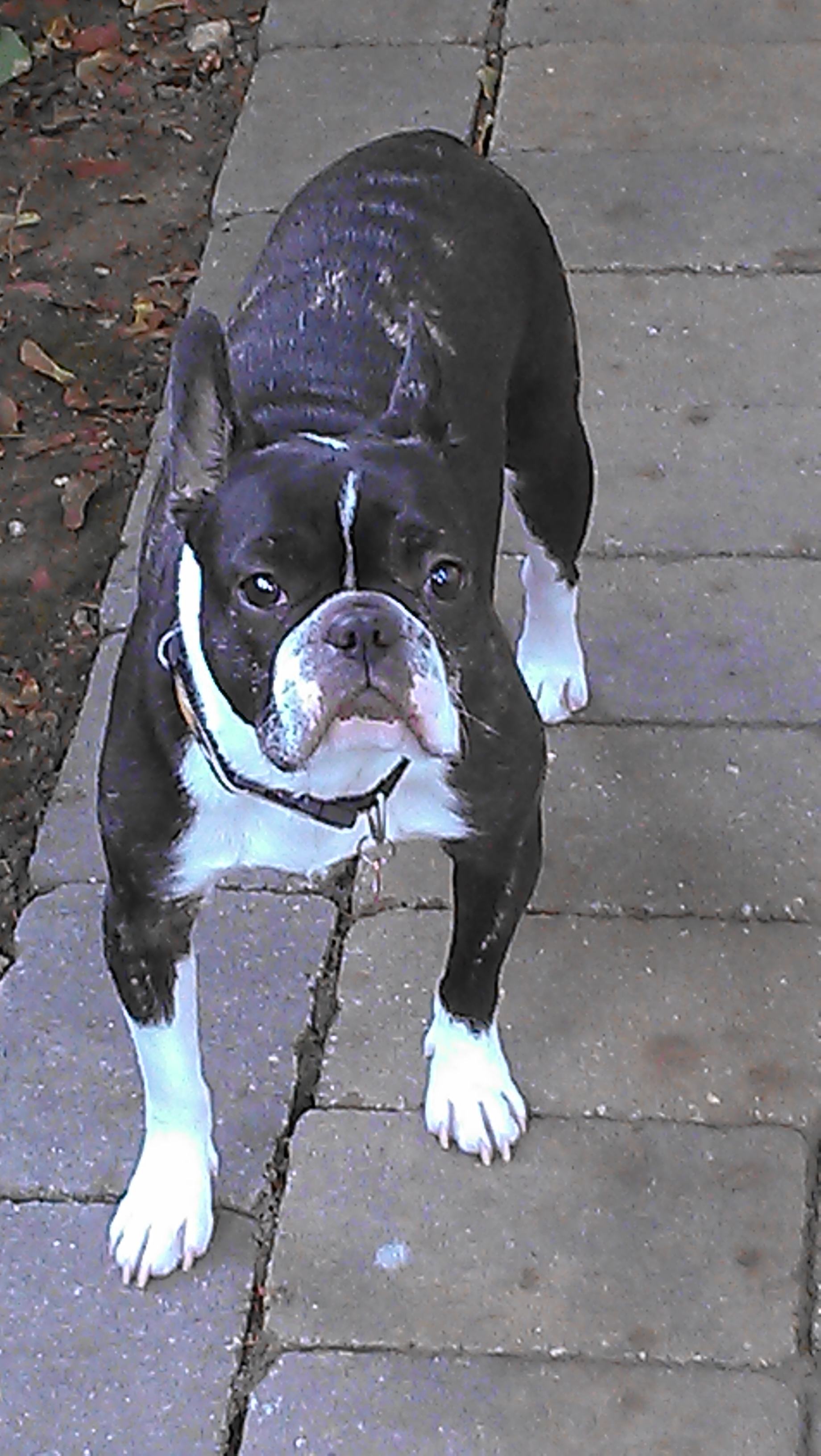 focus1's profile picture