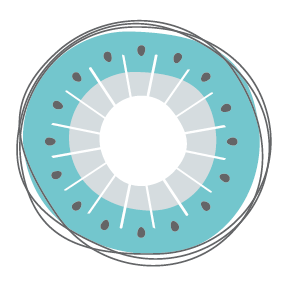 ArtKiwi's profile picture