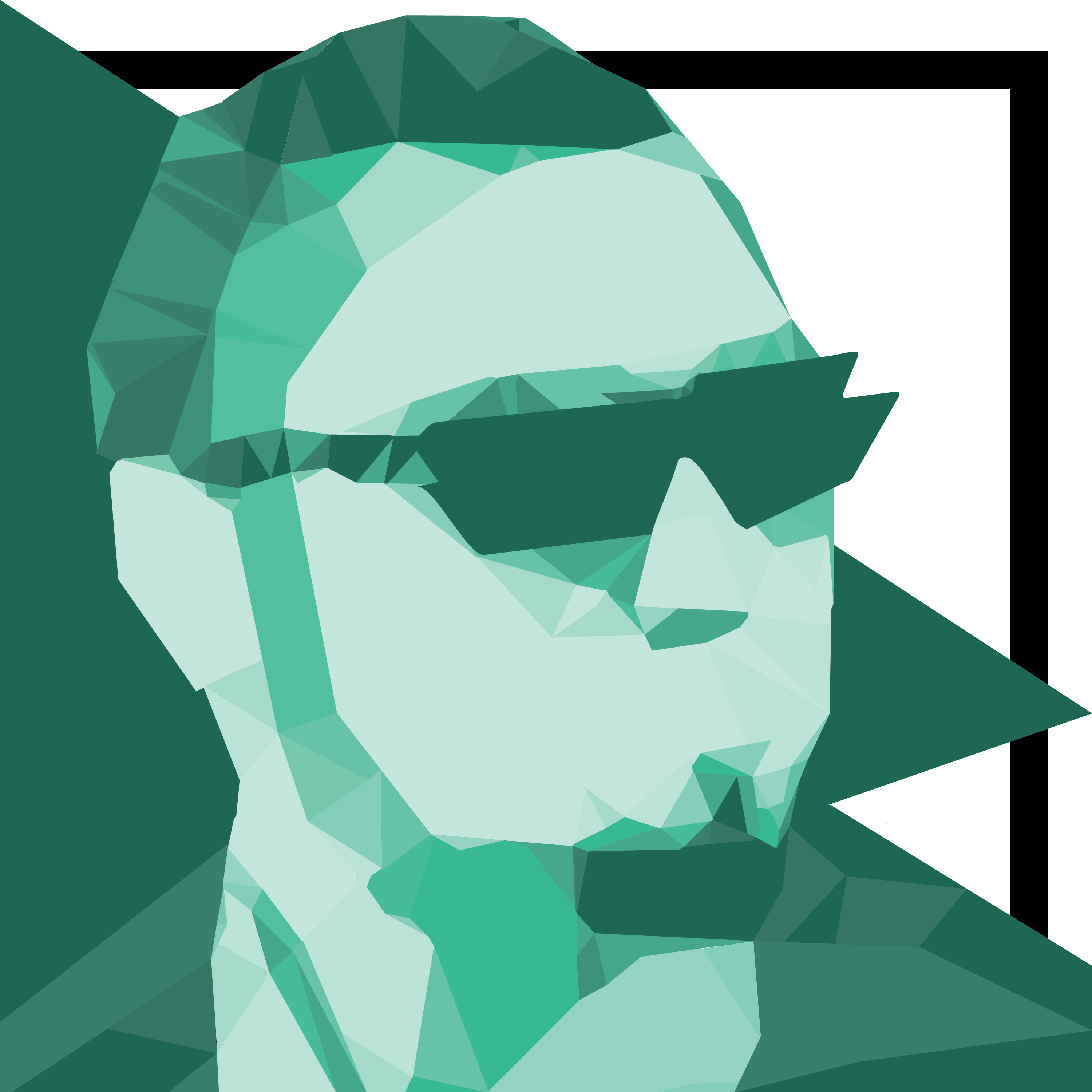 André Castro's profile picture