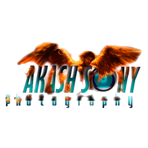 Akash Sony's profile picture