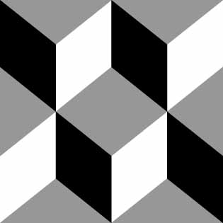 212/conception's profile picture