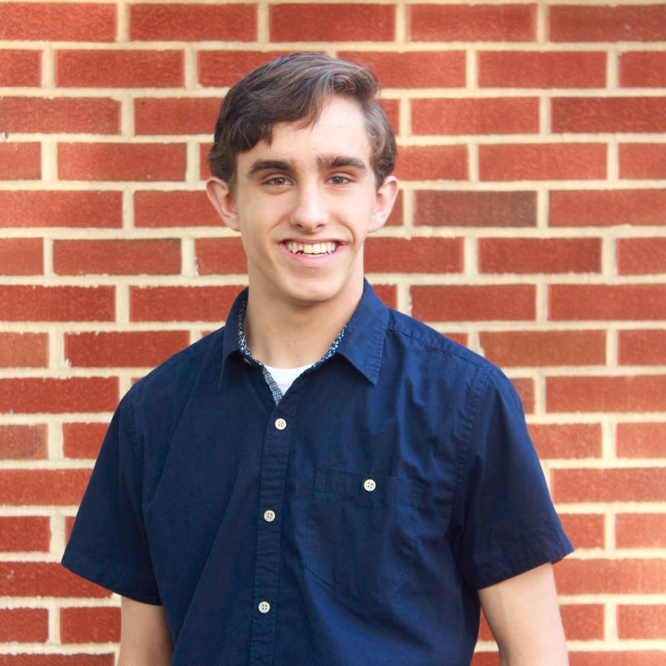 Cogitate Visuals's profile picture