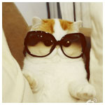 Essiie's profile picture