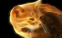 jtest's profile picture