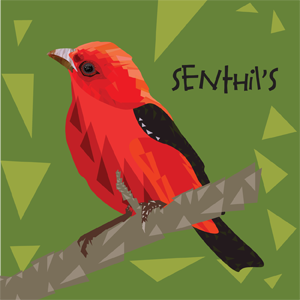 senthilgraphicschennai78's profile picture