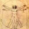 VincereDesign