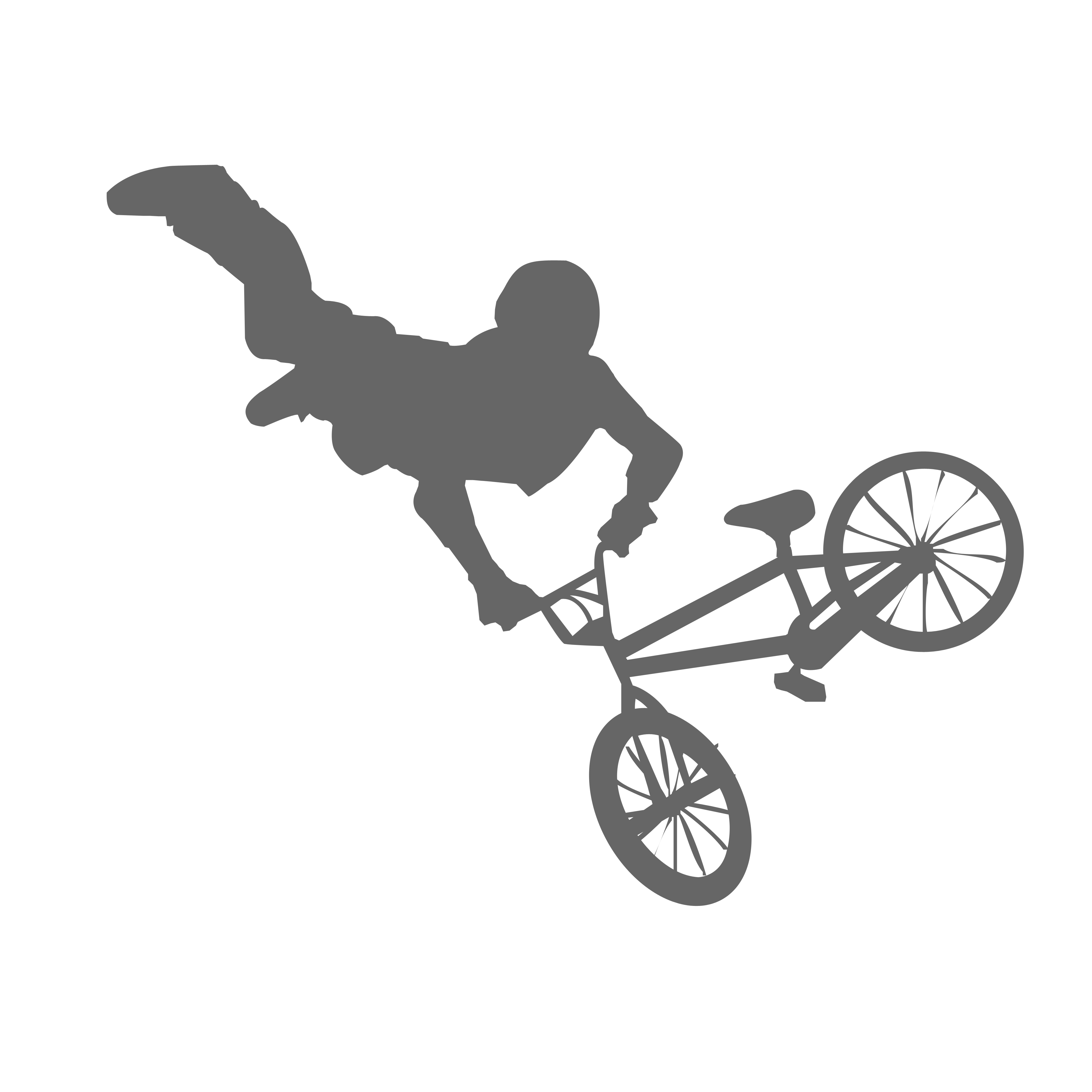 kaysparrow61's profile picture