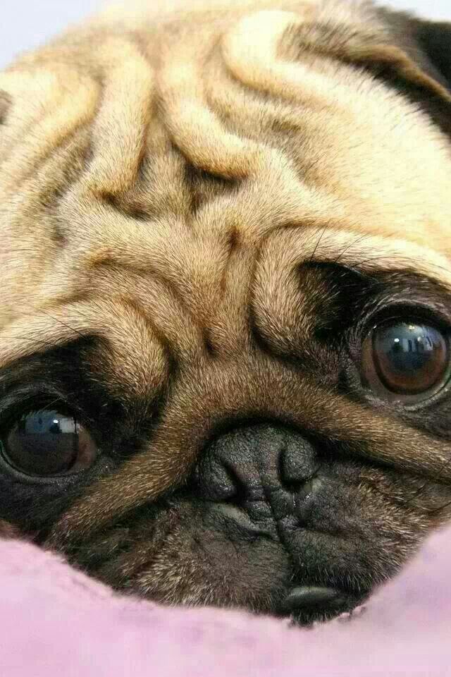 Yuuki Ouji's profile picture