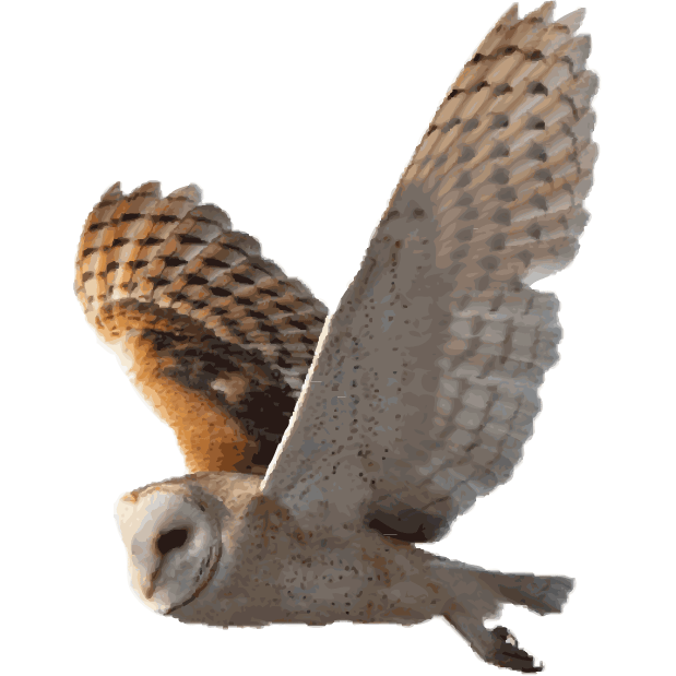 Oneiro Media's profile picture