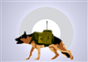 antitankdog
