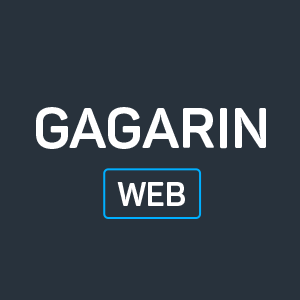 Gagarin Web's profile picture