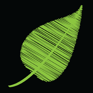 beryb's profile picture