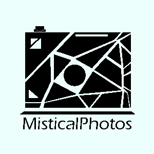 rotaru.andrei22's profile picture