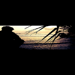 sadegayoga29's profile picture