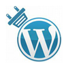 Wordpress Design Toronto