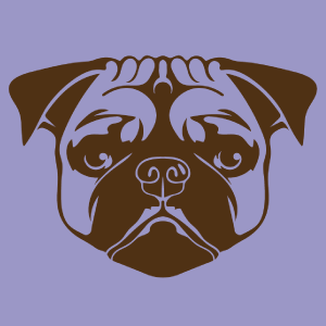 barlarisantiago's profile picture