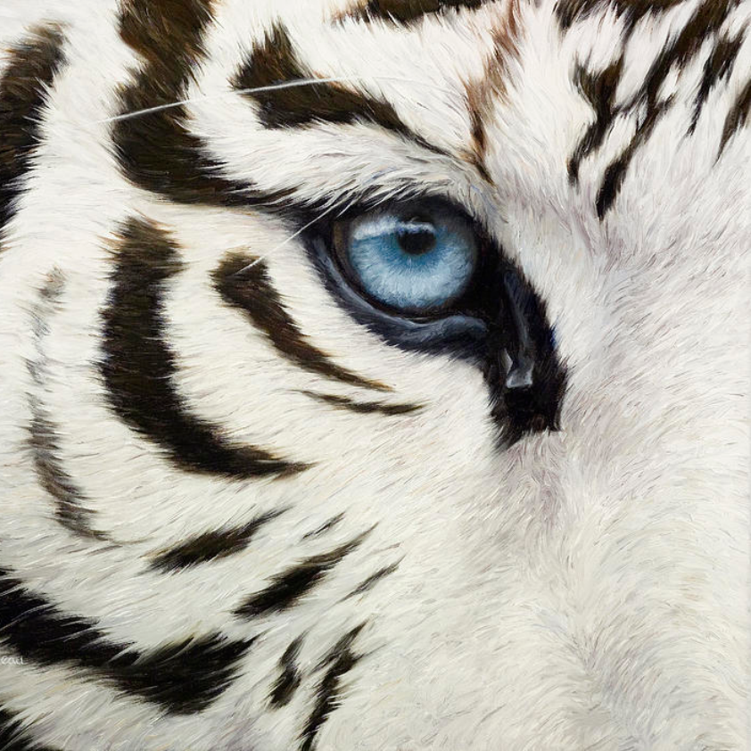 semangART's profile picture
