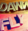 Dawn