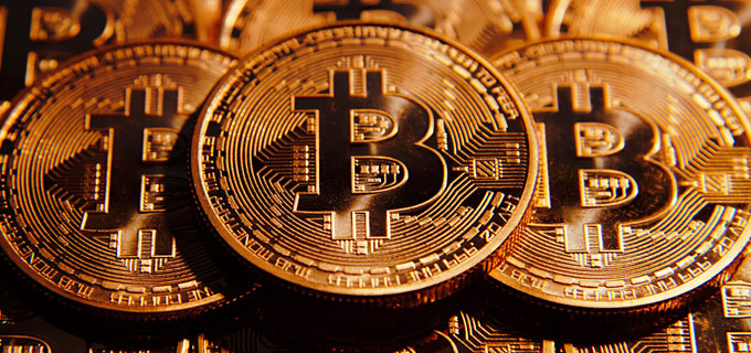 Cold Blood's profile picture