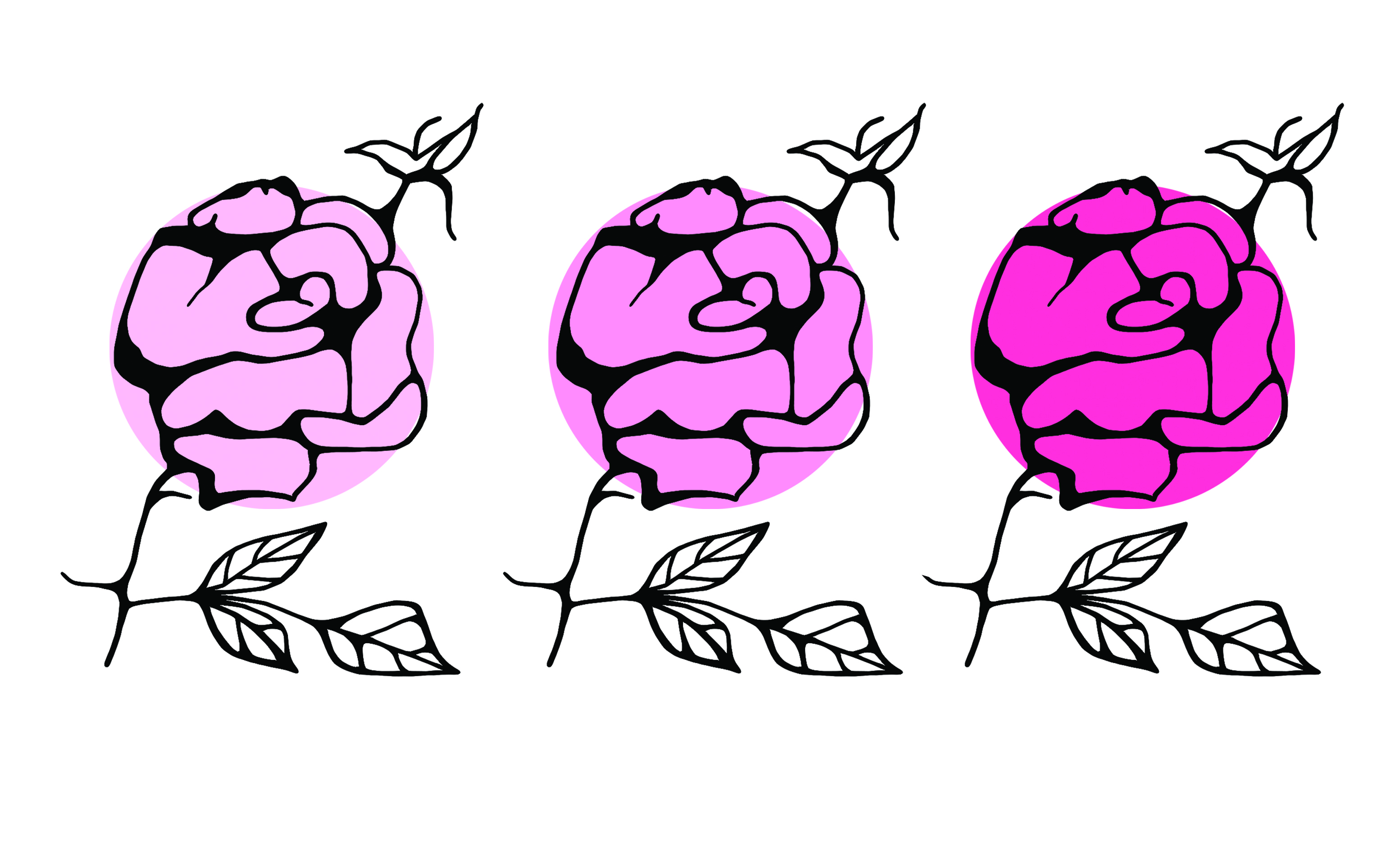 Vai Vai's profile picture