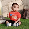 zsol
