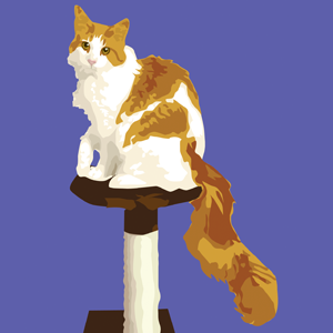 s.lou's profile picture