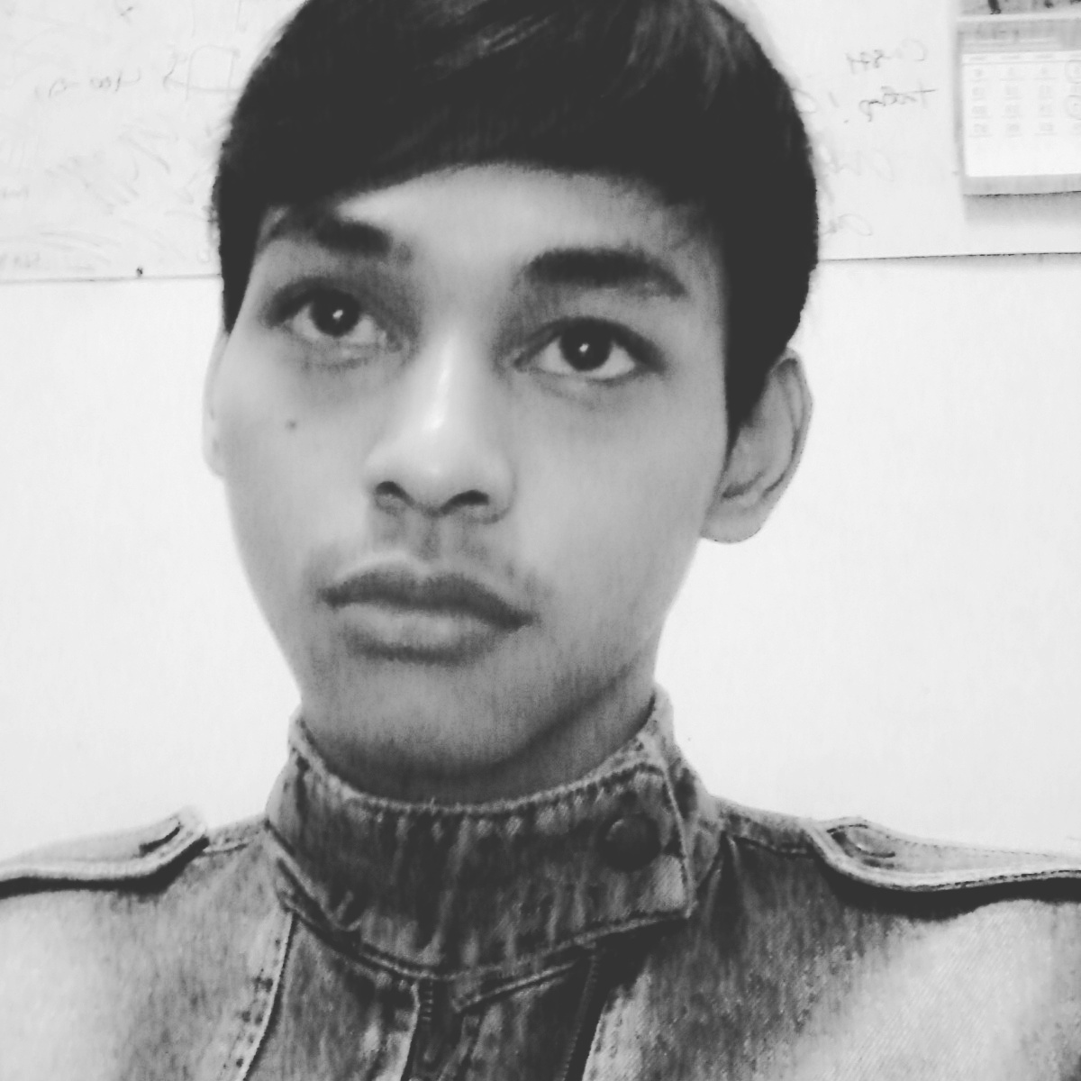 WisesaArt's profile picture