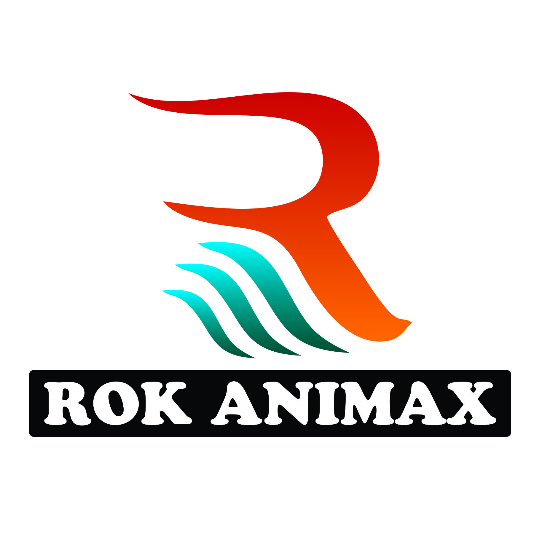 Rok Animax's profile picture