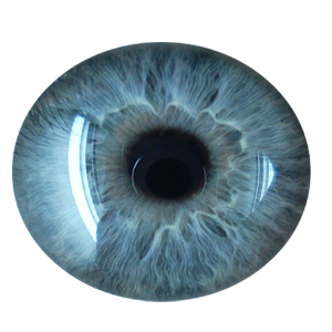 Dule015's profile picture
