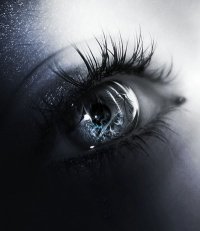 Diana Maneva's profile picture
