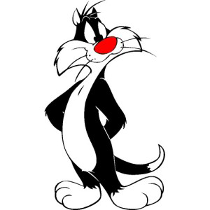 Jony Shahaj's profile picture