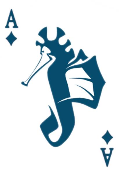 phuochoang04's profile picture