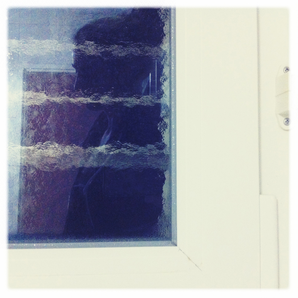 steffy's profile picture