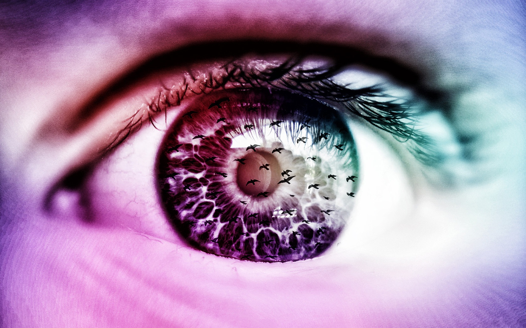 crystaluv's profile picture