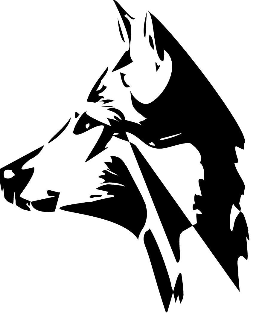 Max's profile picture