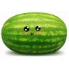 Melonwater