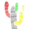 studiokctus